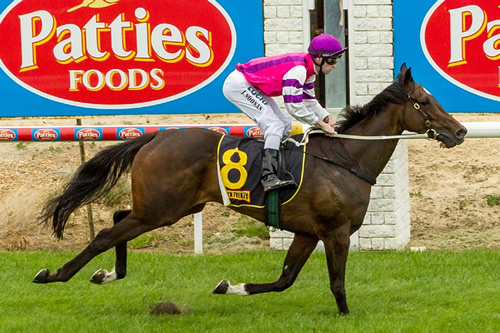 SLEEPY CAT AWAKES WITH MAIDEN VICTORY..